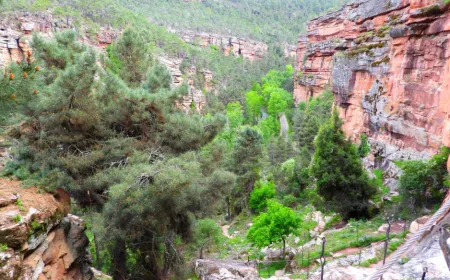 paisaje
