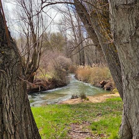 foto río