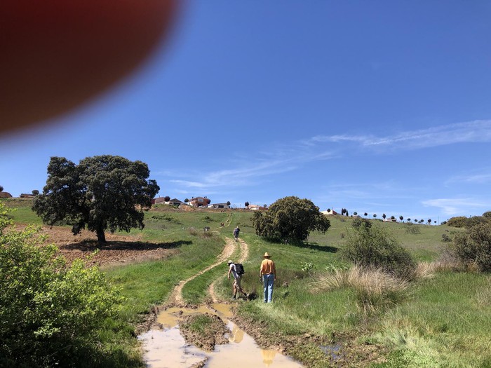 foto camino