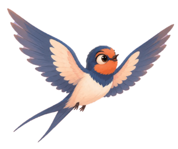 golondrina Catalina