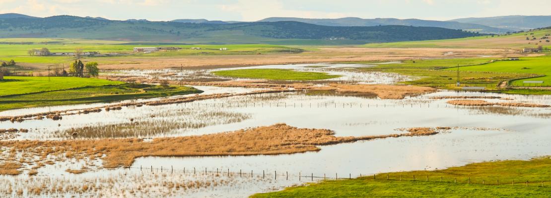 Llanura de inundación del Guadiana en Alarcos