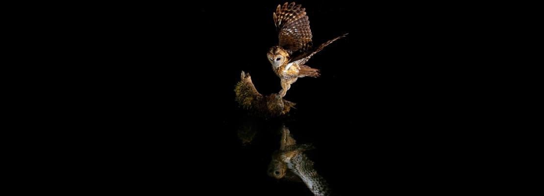 Night reflection. 2017. Primer premio concurso de fotografía de Naturaleza “Vive tu espacio”