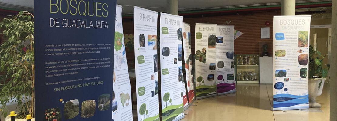 Exposiciones del programa PREXTA