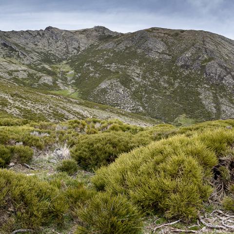 Pico Lobo desde Cerrón