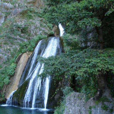 Cascada de los Chorros del Río Mundo (Riópar) tras un gran ejemplar de tejo rodeado de farallones rocosos, en perfecta armonía: equilibrio entre roca, agua y vegetación. Sin duda, uno de los rincones más bellos que nos ofrece la naturaleza en Castilla-La Mancha.