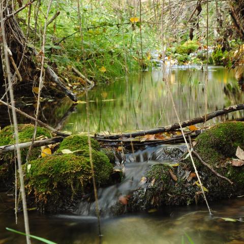 Uno de los muchos arroyos que discurren por el pueblo de Ocentejo, situado en el Parque Natural del Alto Tajo, Guadalajara.