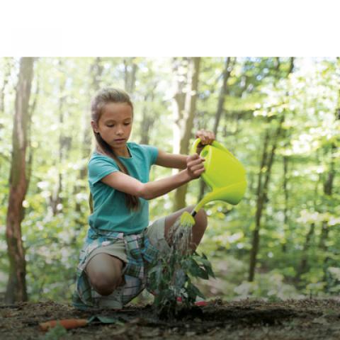 Imagen de una chica regando una planta