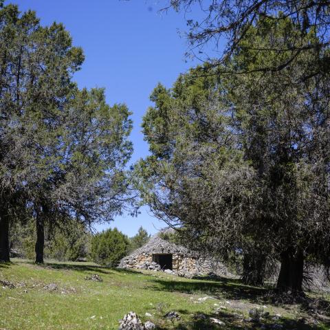 Foto de un chozón tradicional construído con madera de sabina