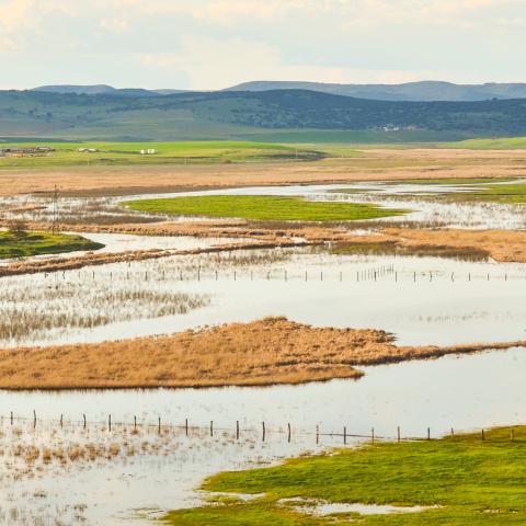 Llanura de inundación del Guadiana en Alarcos