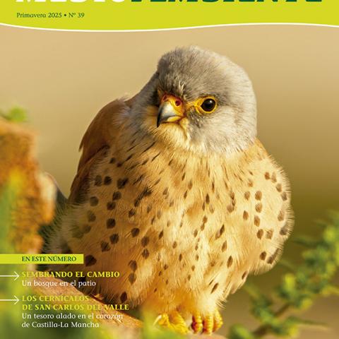 Portada nº39 - Primavera 2025
