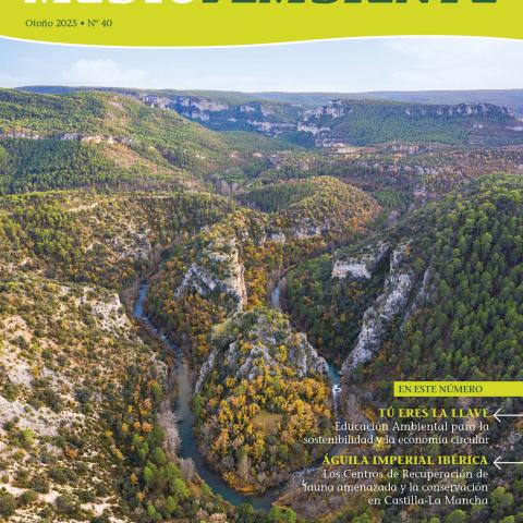 Revista Medio Ambiente número 39