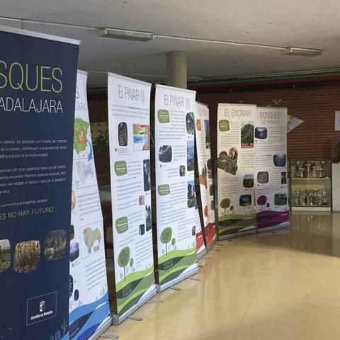 Exposiciones del programa PREXTA