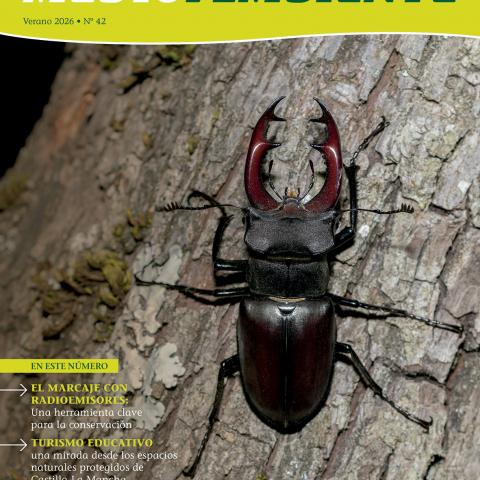 portada revista Medio Ambiente número 42