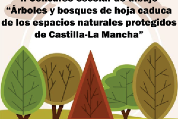 Imagen cartel concurso
