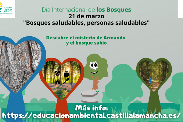 imagen campaña día de los bosques