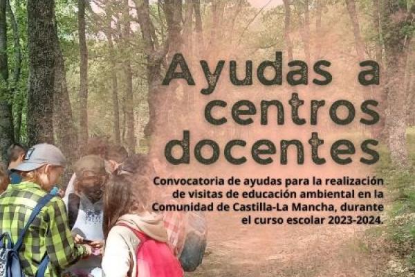 banner actividades - ayuda