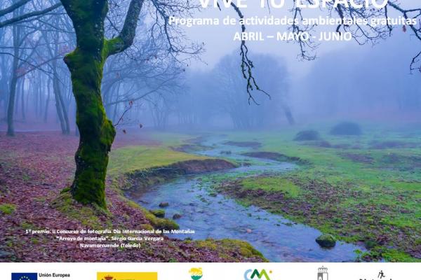 foto árbol y arroyo de montaña