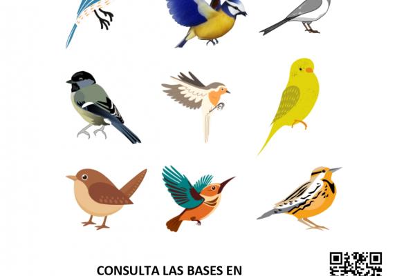 cartel con dibujos de pájaros