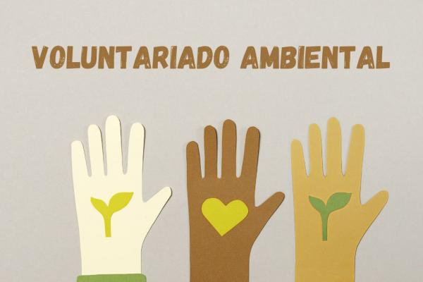 imagen manos