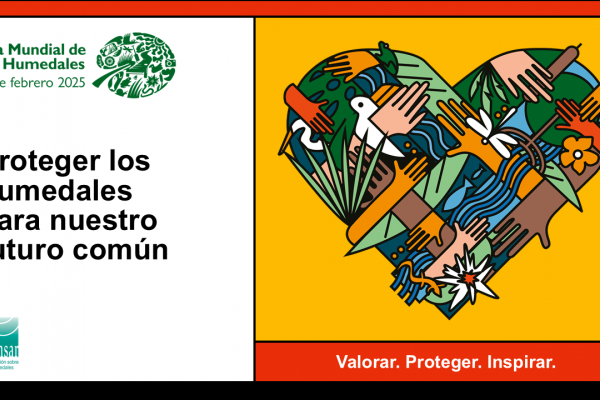 imagen campaña 2025