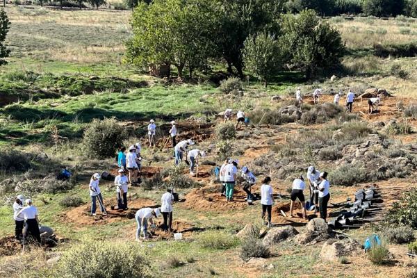 personas plantando