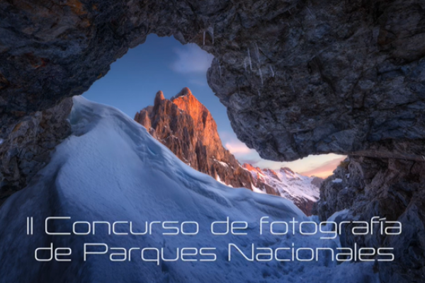 fotografía ganador año 2024