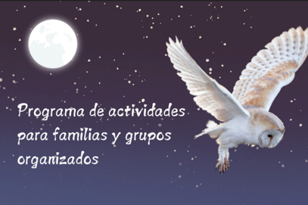 imagen programa CERI