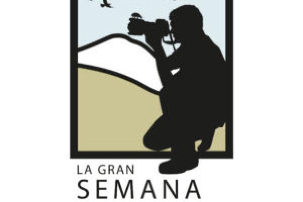 logo semana