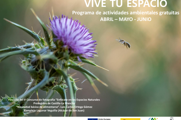 portada vive tu espacio - foto cardo