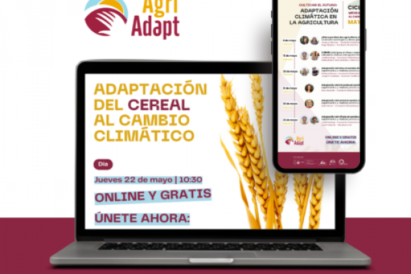foto publicidad webinars