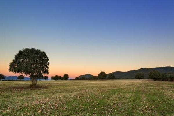 paisaje Cabañeros