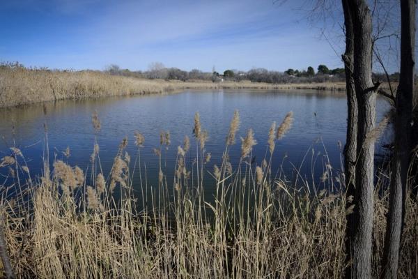 foto laguna de los patos