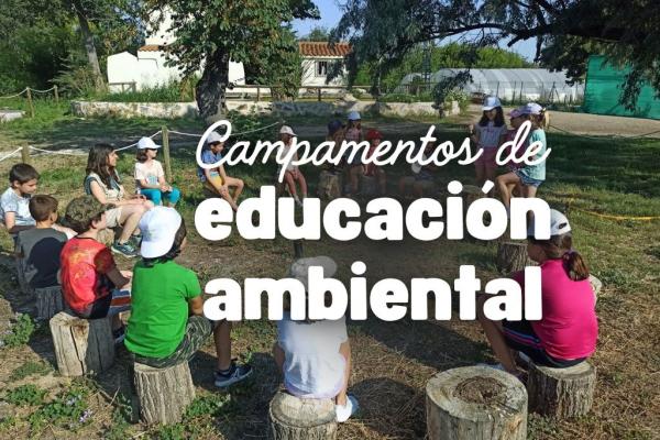 Foto niños y niñas sentados en troncos de árboles