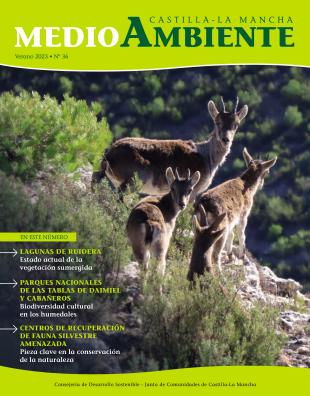 Cabras montesas en la Microrreserva de Ardal y Tinjarra