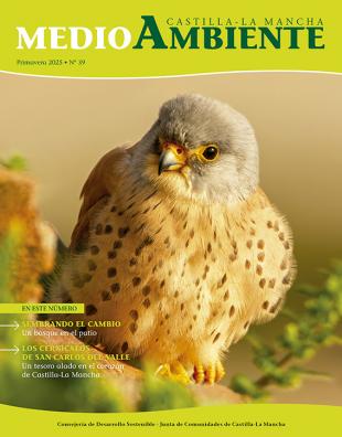 Portada nº39 - Primavera 2025